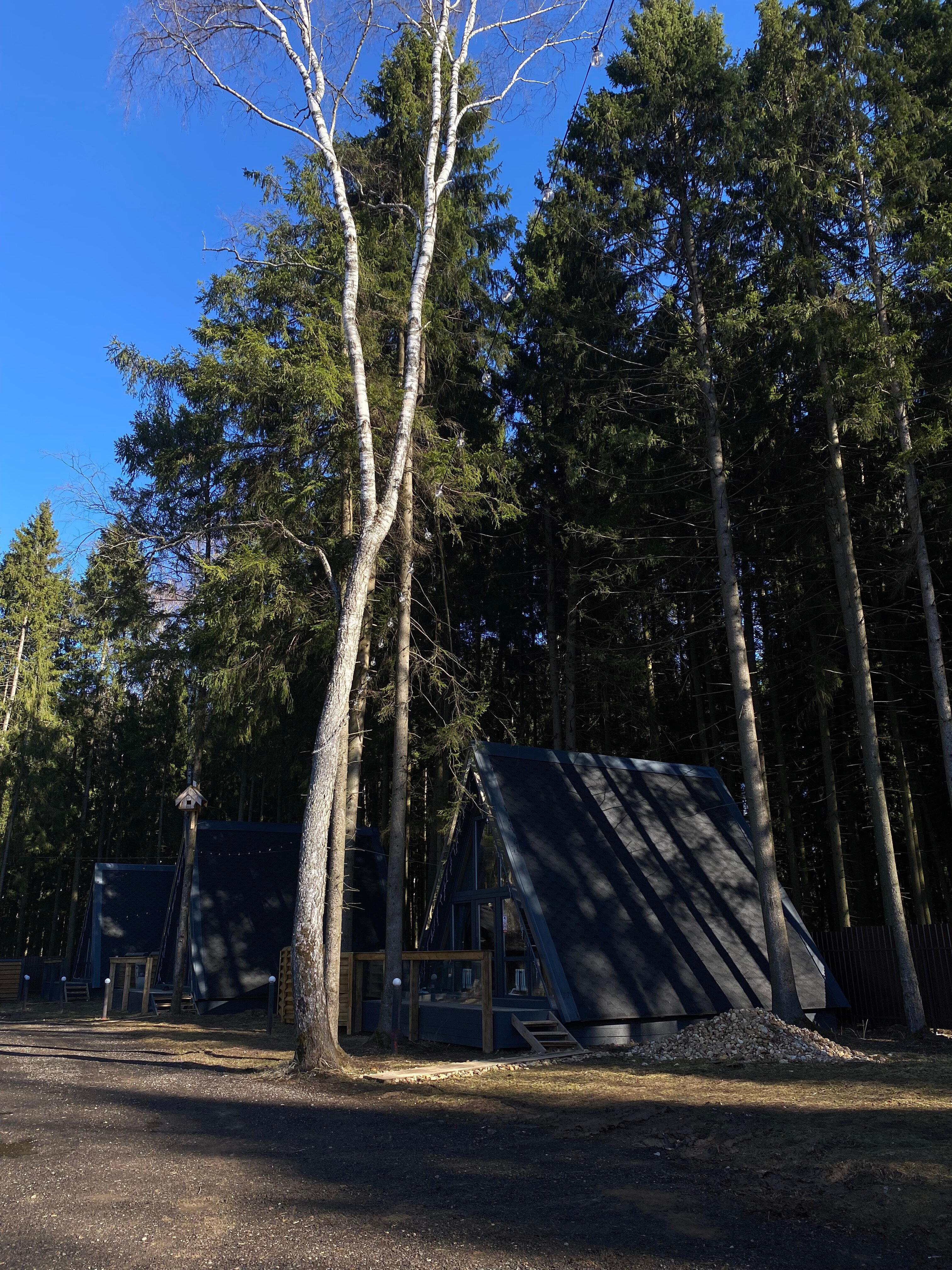 Фото Пайн Резортс