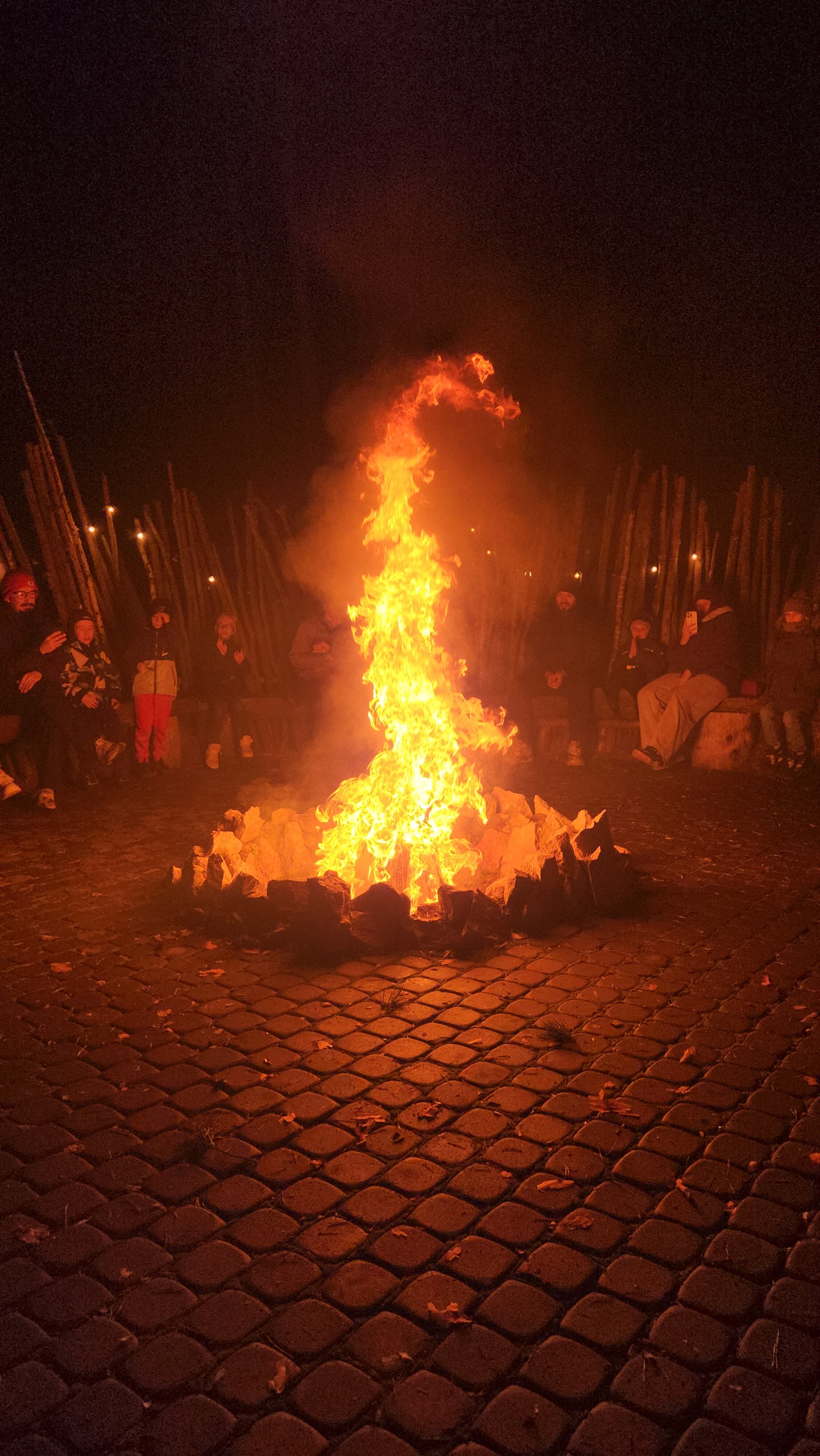 Фото Лесная опушка