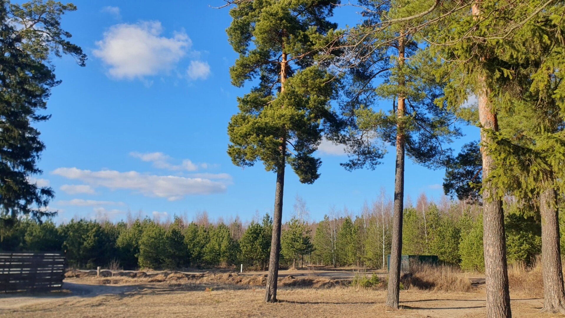 Фото Ягодка Малинка