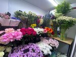 Цветы (Sosnovaya Street, 5к1), flower shop