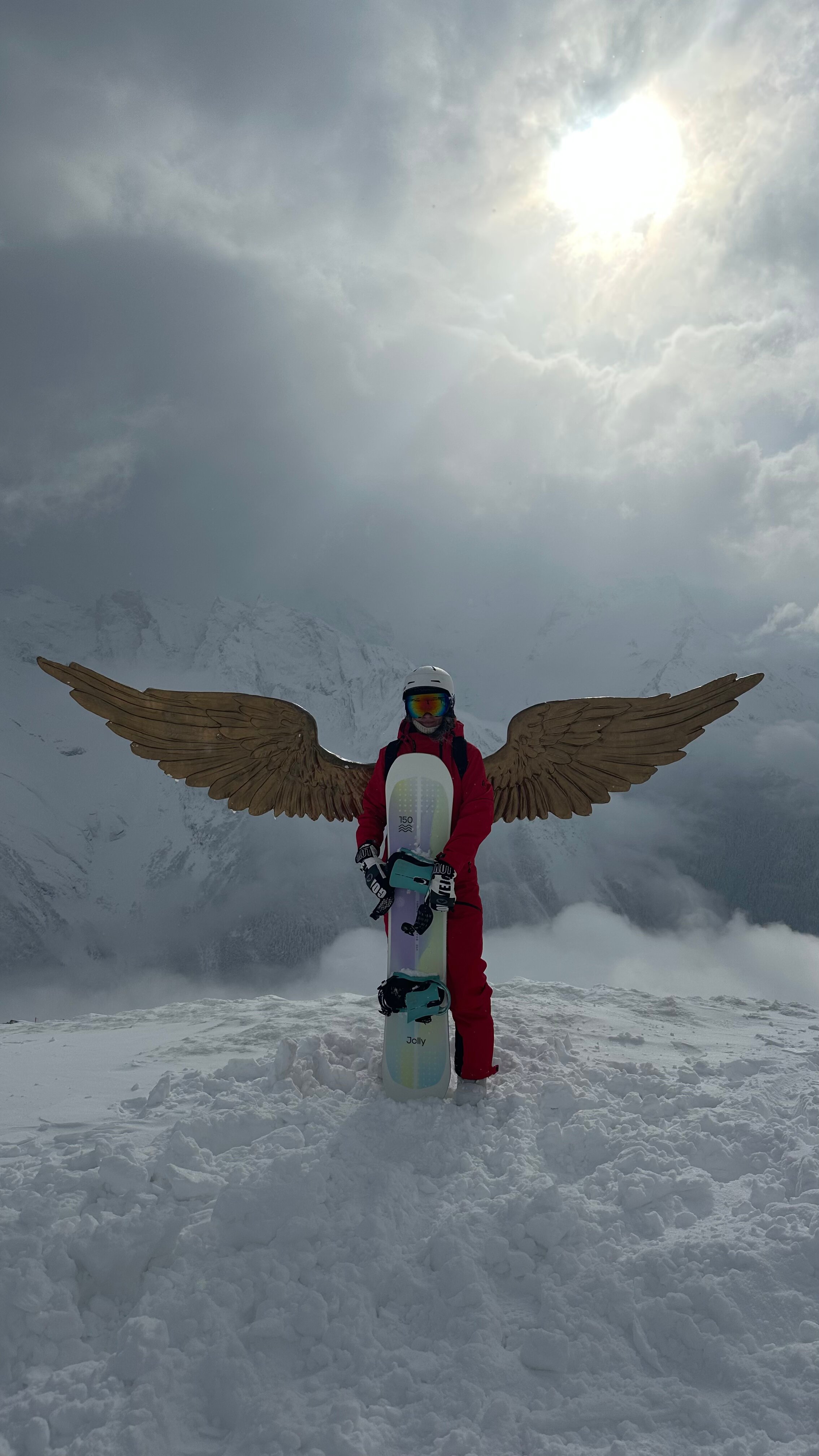 Фото Ягодный тис