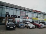 Floweravenue (Mashinosroitelnaya Street, 12А) ، محل زهور
