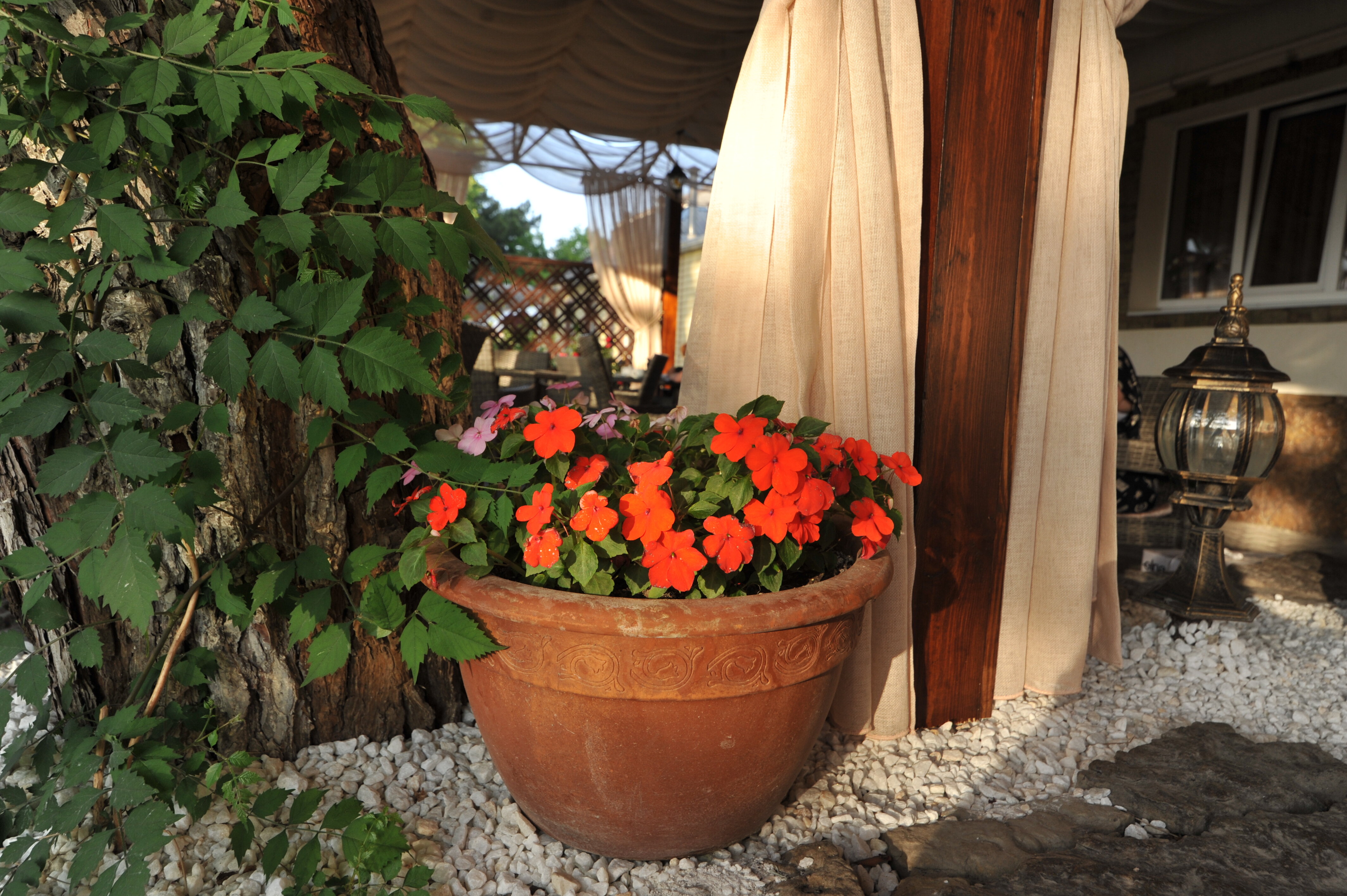 Фото Отель Максимус