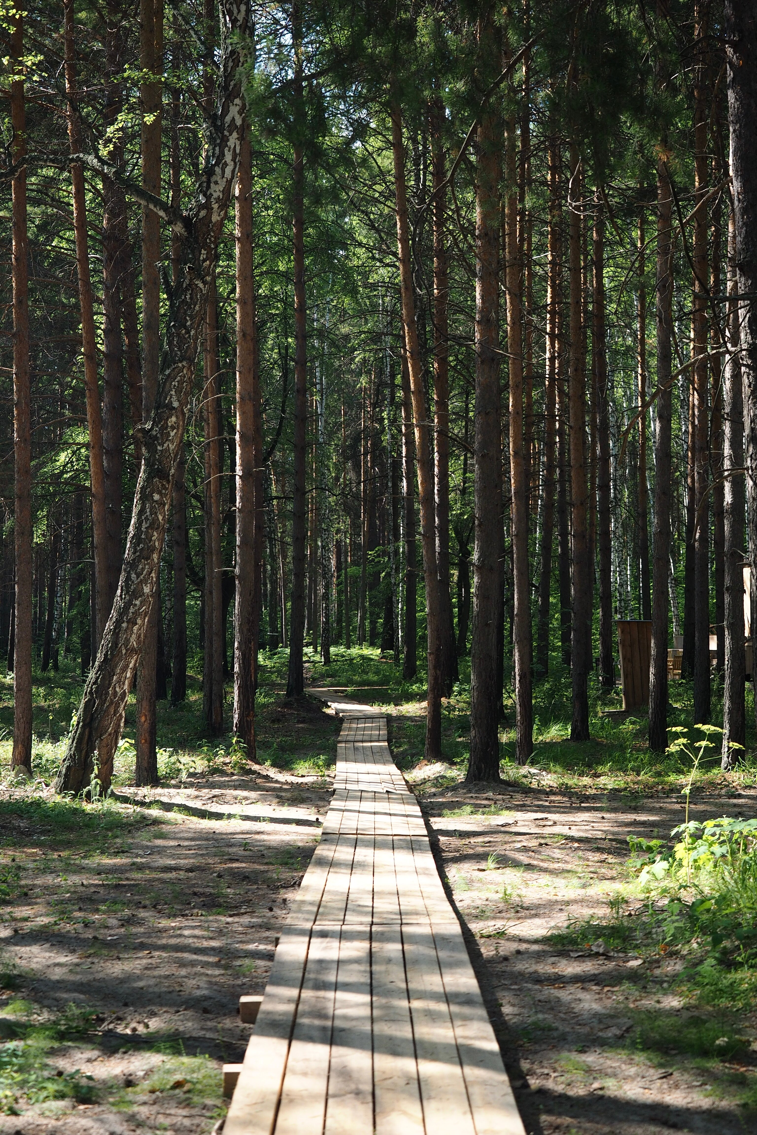 Фото Морелеса