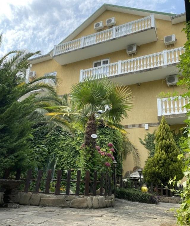 Фото Ромашка