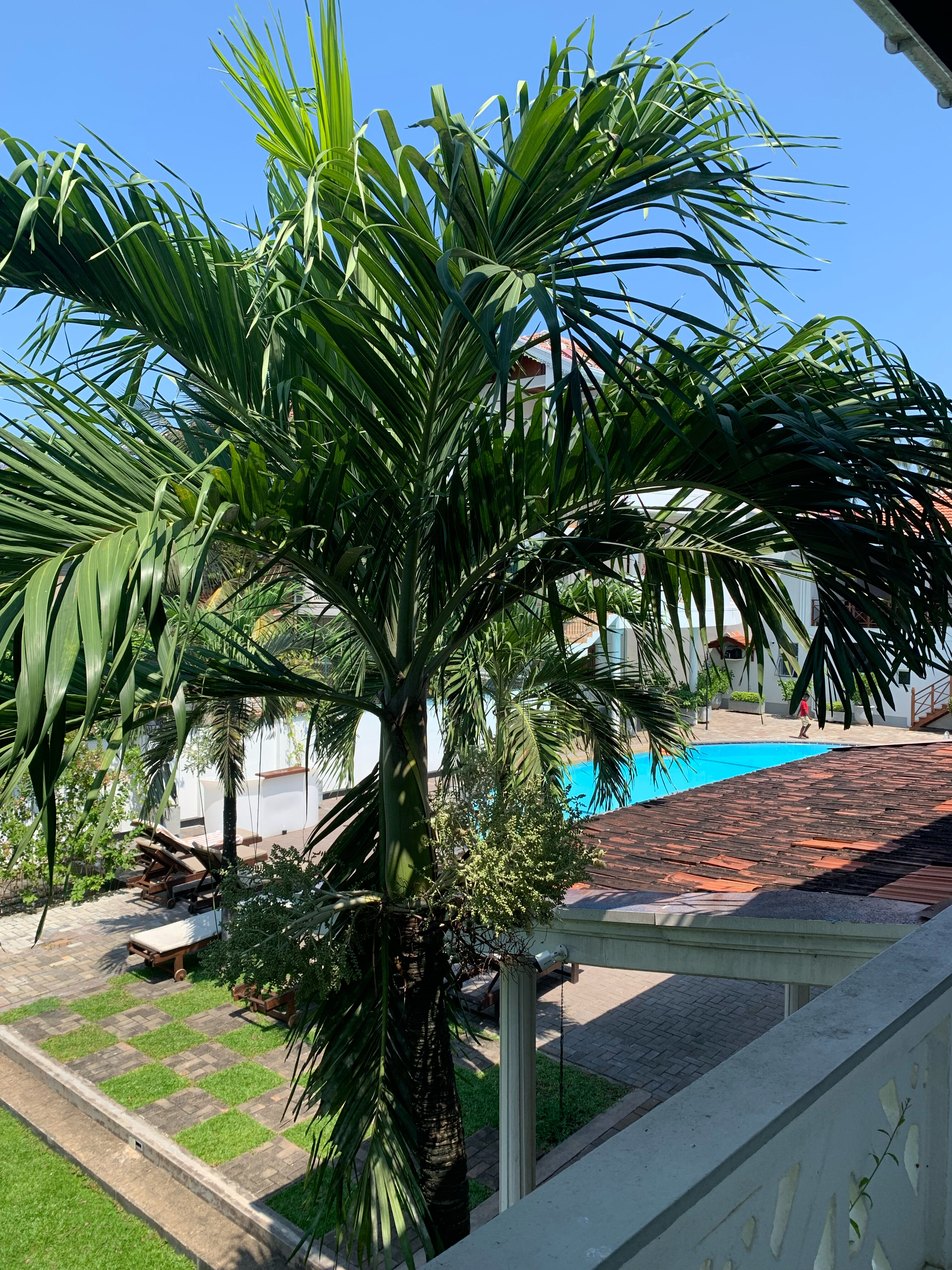 Фото 55021790959