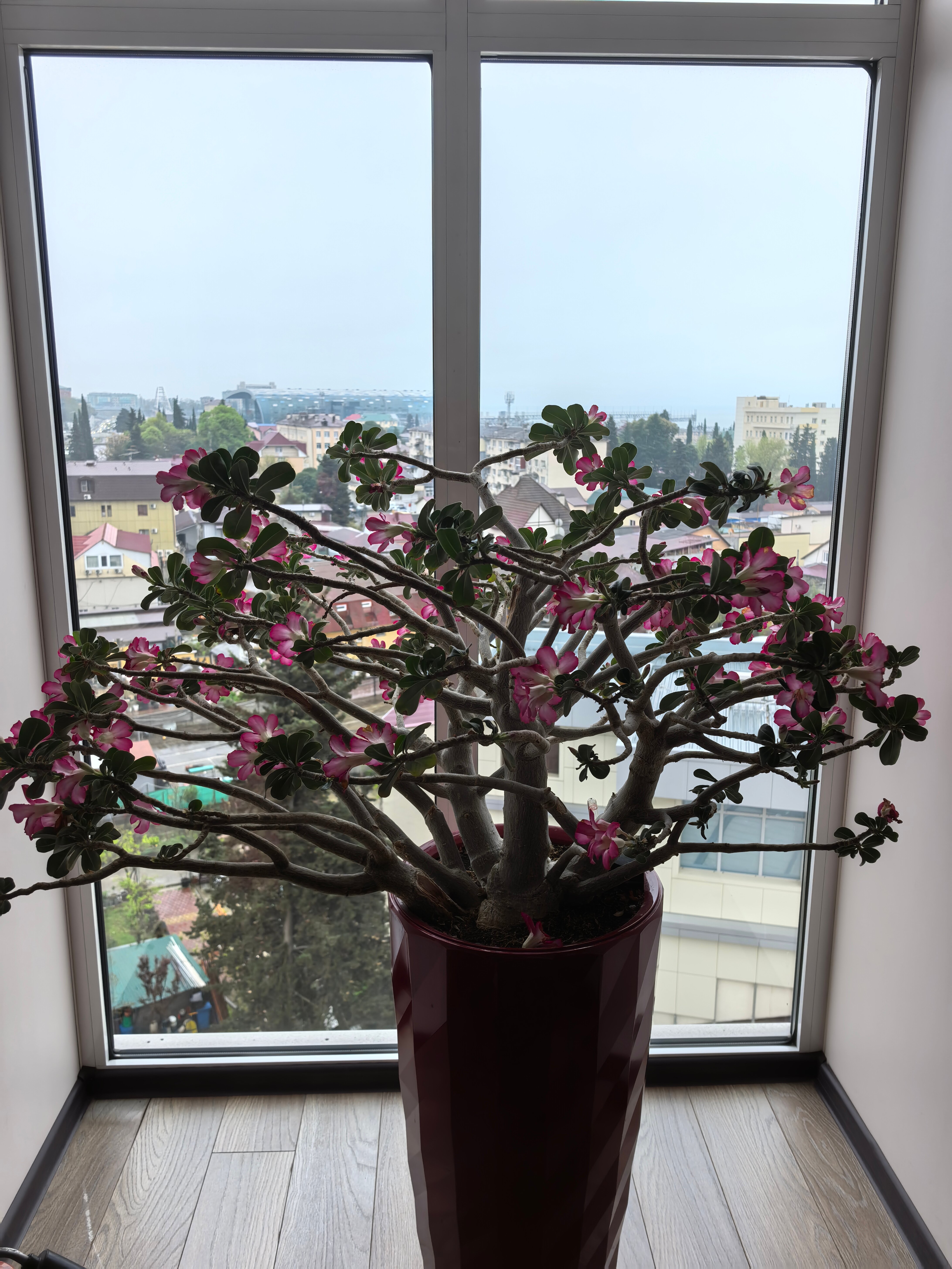 Фото Марина Молл