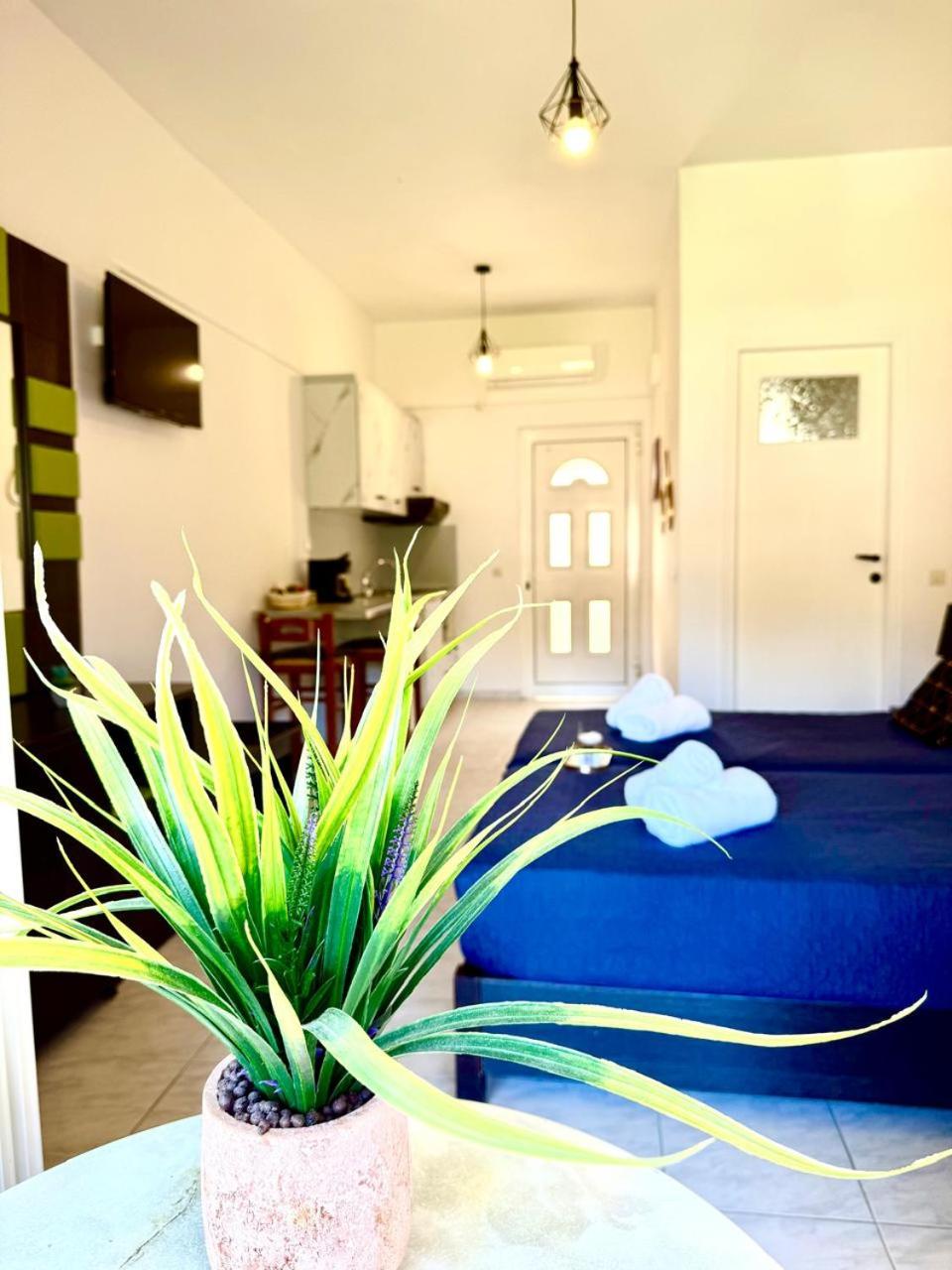 Фото Marina Studios