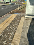 Central Park (Moscow, Skolkovo Innovation Center, Bolshoy Boulevard), public transport stop