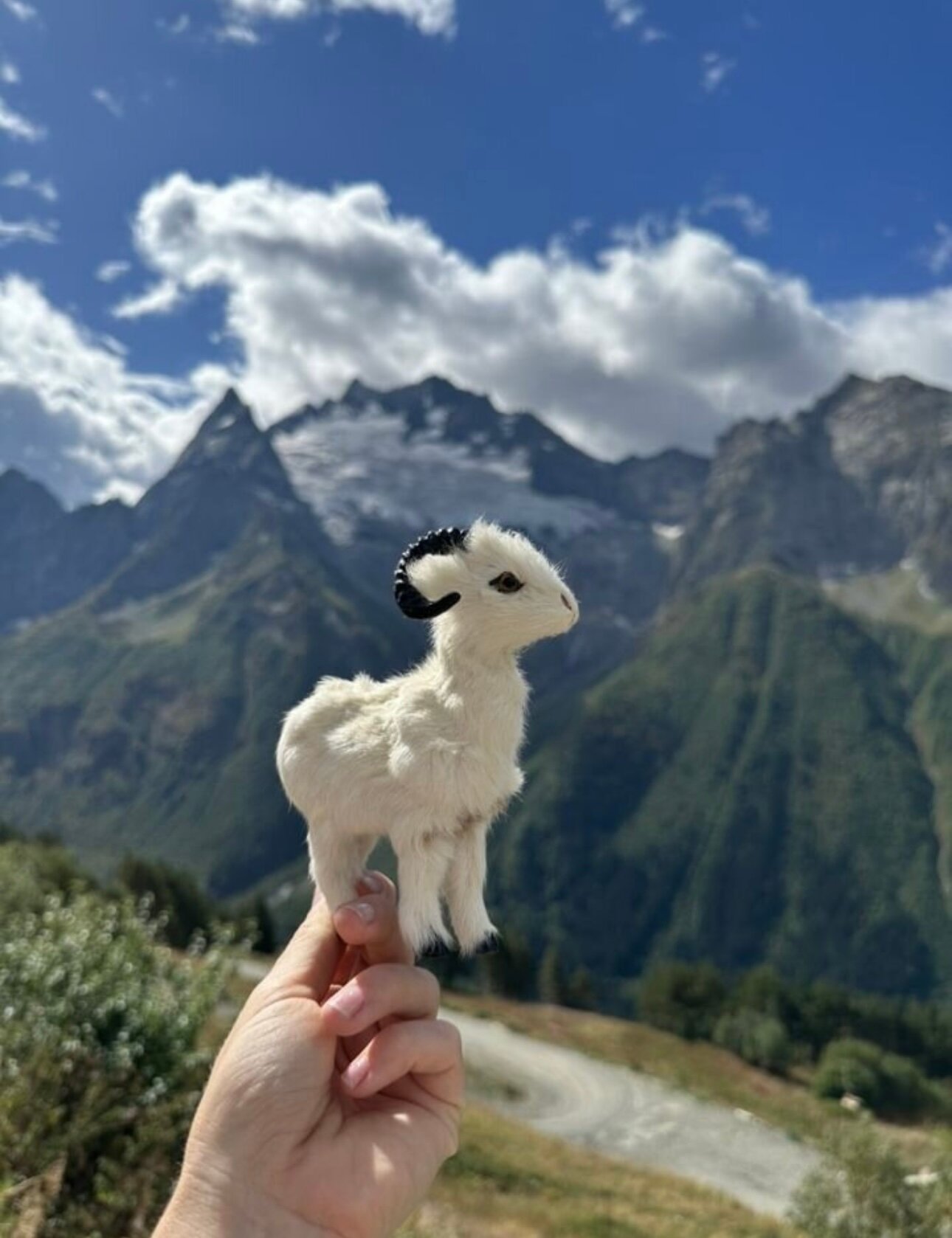 Фото Малинки