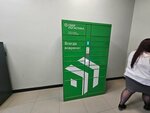 Сберлогистика (Moskovskaya ulitsa, 24), parcel automat
