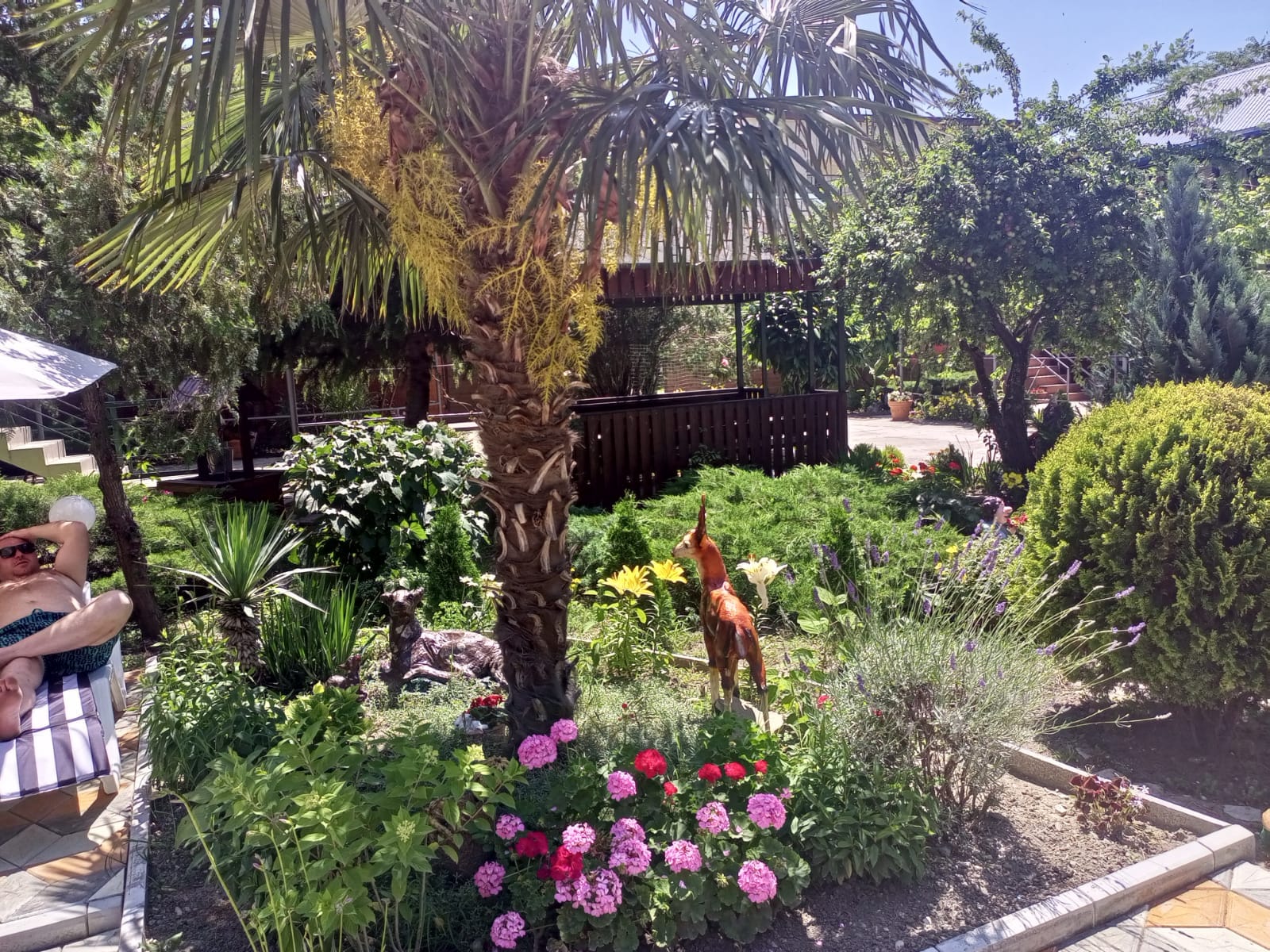 Фото Сибирячка