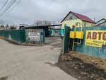 Кавказкая кухня (Predelnaya Street, 39) ، مقهى