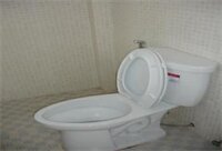 Фото Jasmine Family Hostel