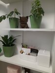 Torby Lash (Prazhskaya Street, 4), eyebrow and eyelash salon