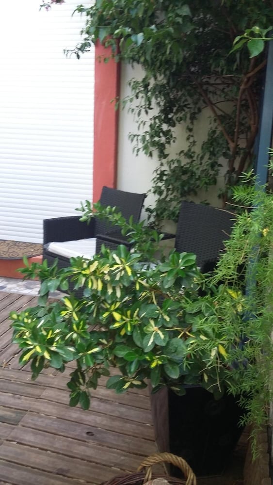 Фото Cielito Lindo