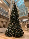 Мир Ёлки (Panfilovskiy Avenue, 10с1), christmas trees and christmas decorations