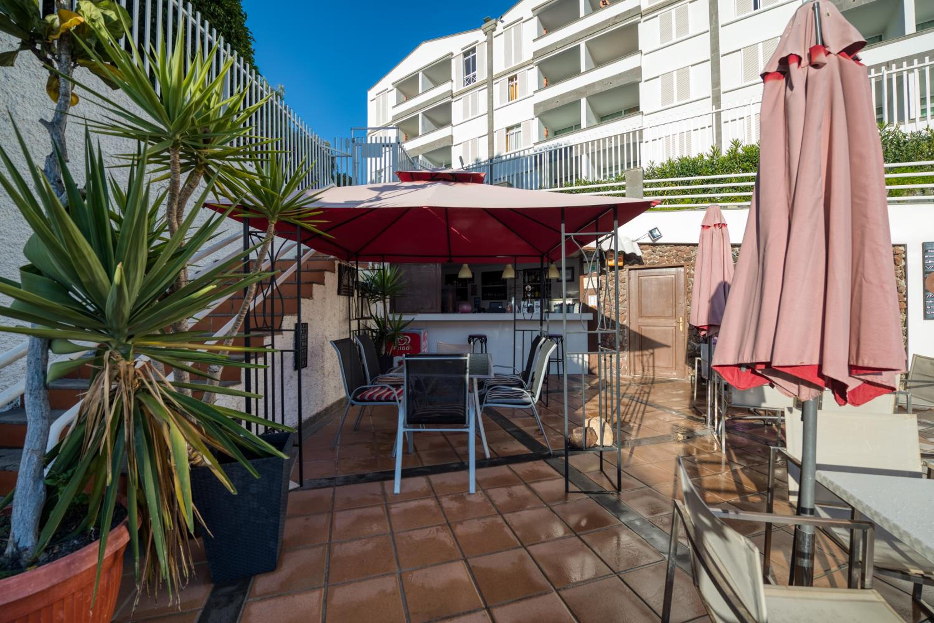 Фото Apartamentos Dorotea