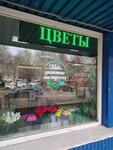 Клото (Energetikov Avenue, 70В) ، محل زهور