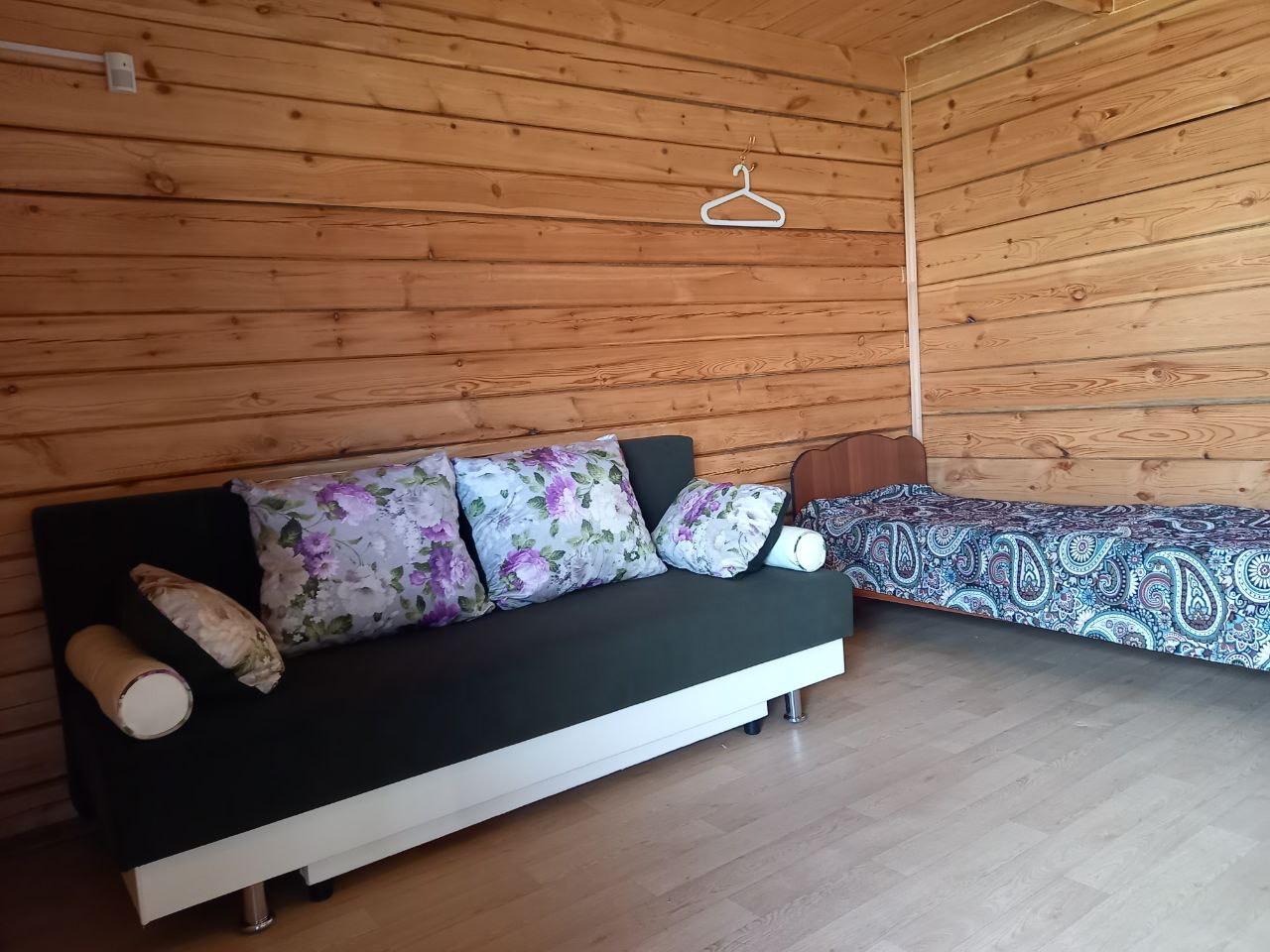 Фото Ромашка