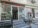 Liva Veterinary Clinic (İstanbul, Besiktas, Dikilitaş Mah., Zambak Sok., 5A), clínica veterinaria