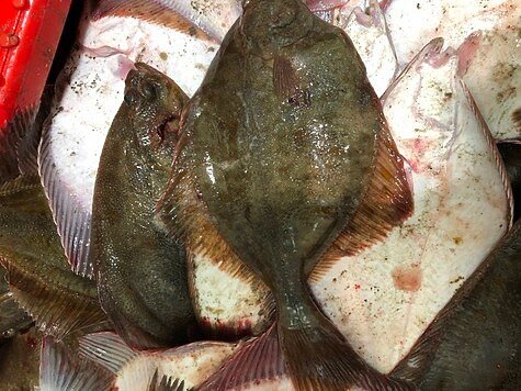 Фото Морской рай