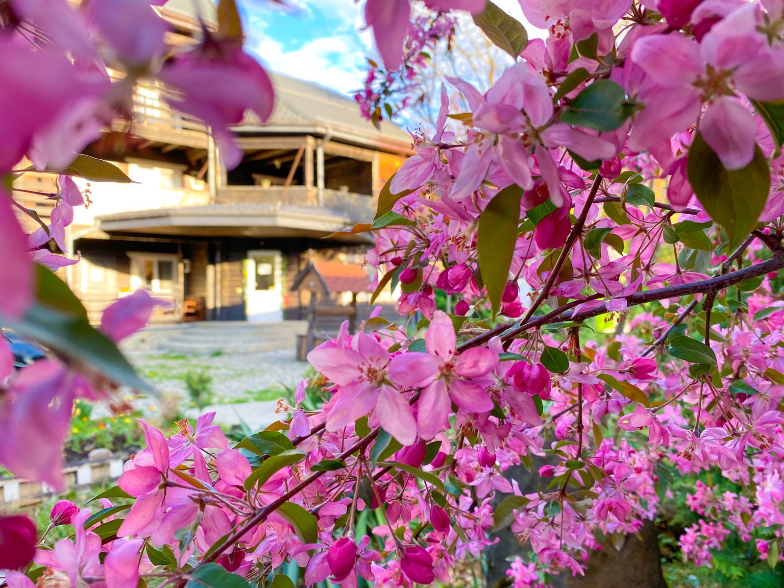 Фото Благодать