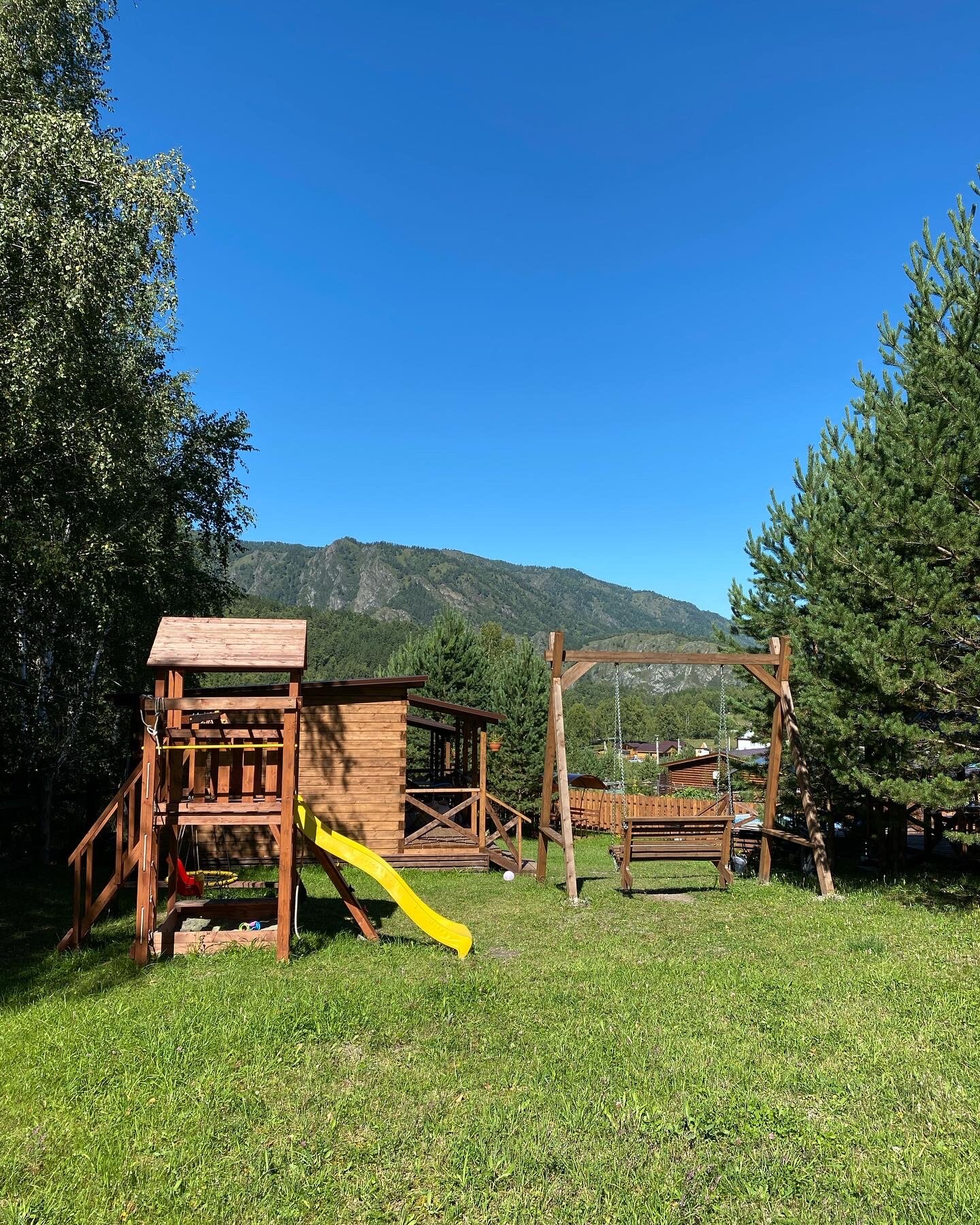 Фото Шишкин лес