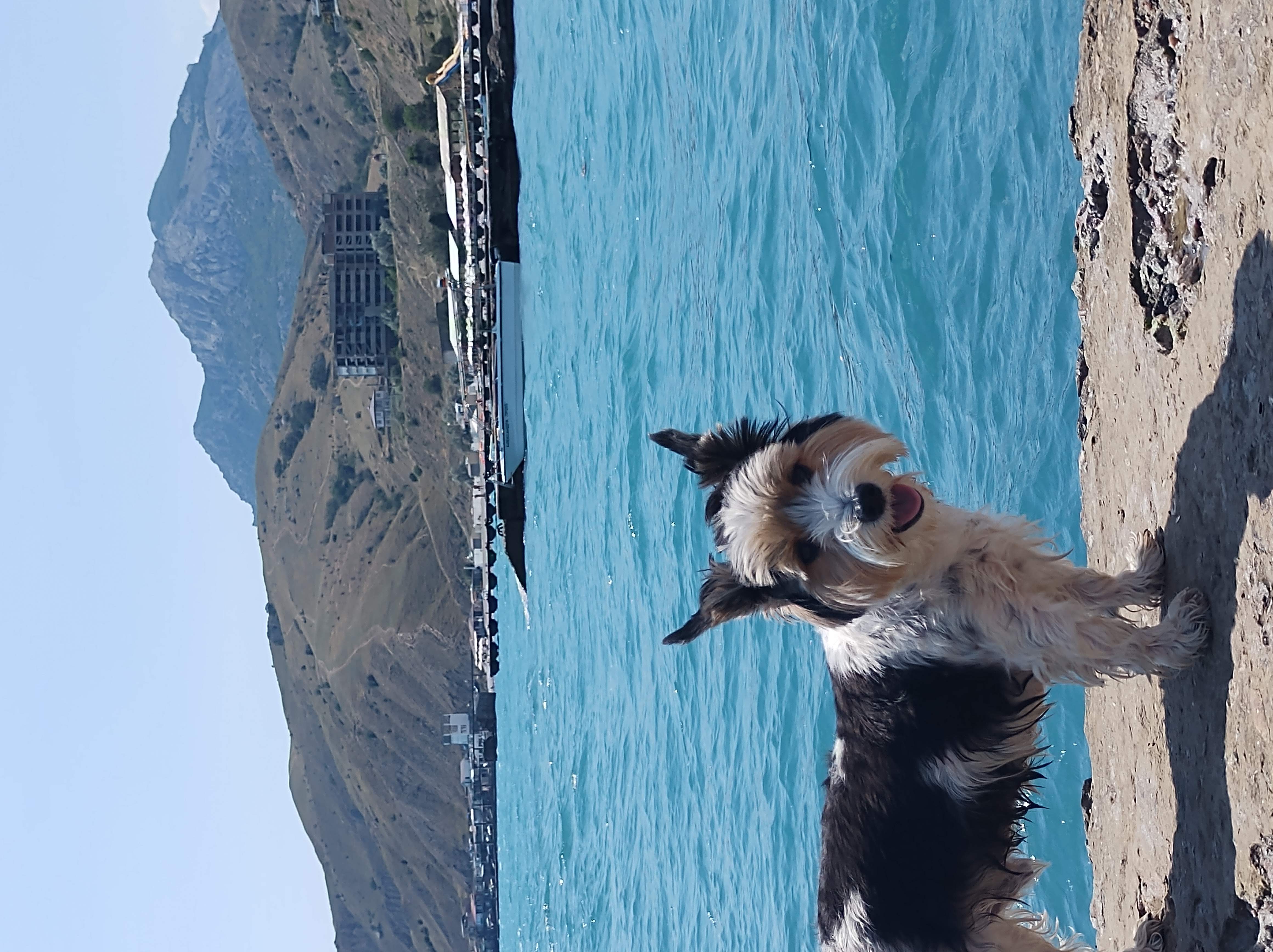 Фото Родина