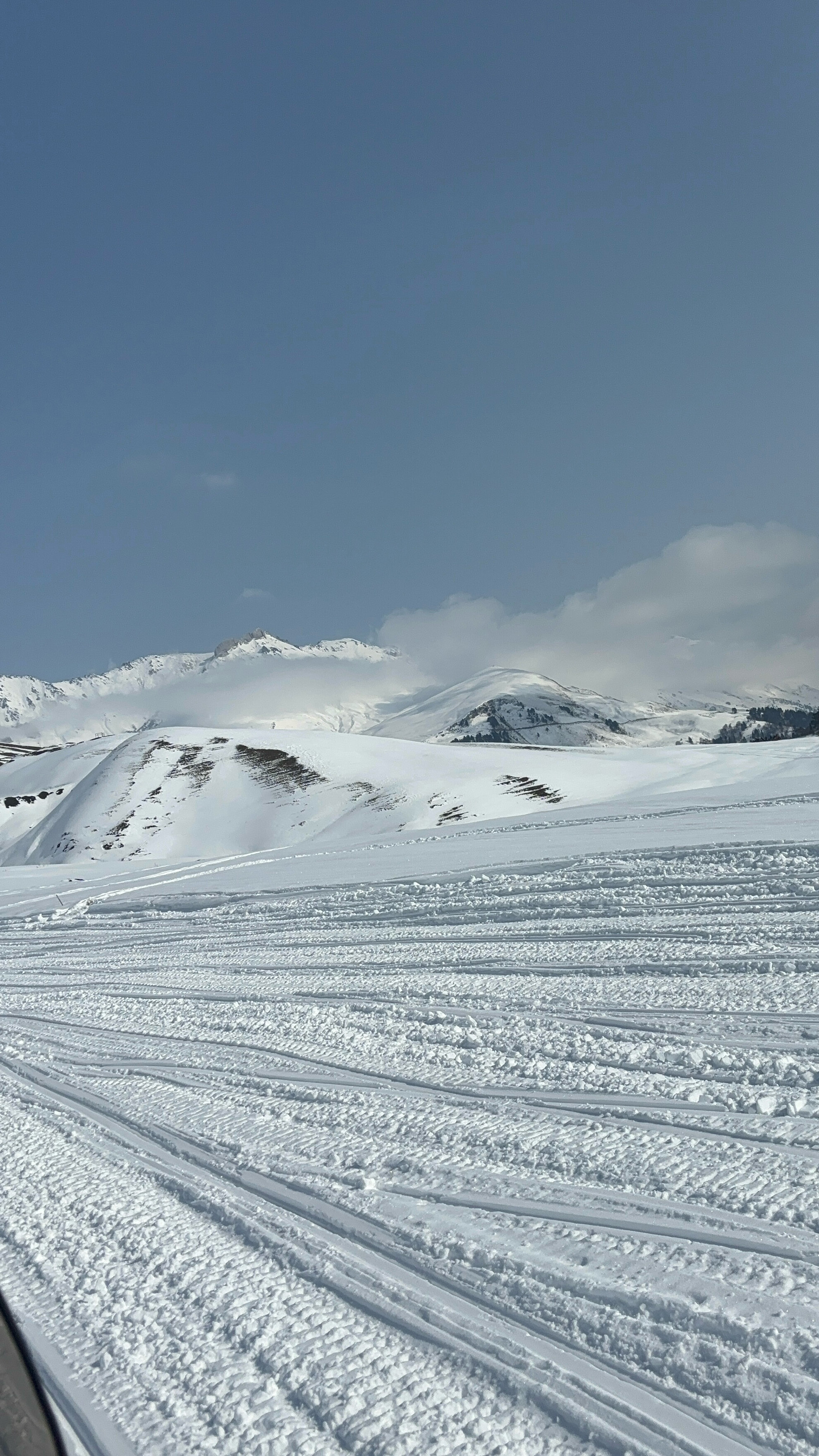 Фото Greenhouse 1599