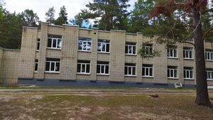 Оздоровительный лагерь Луч (Penza Region, Gorodishchenskiy rayon, Nizhneyelyuzanskiy selsovet), landmark, attraction