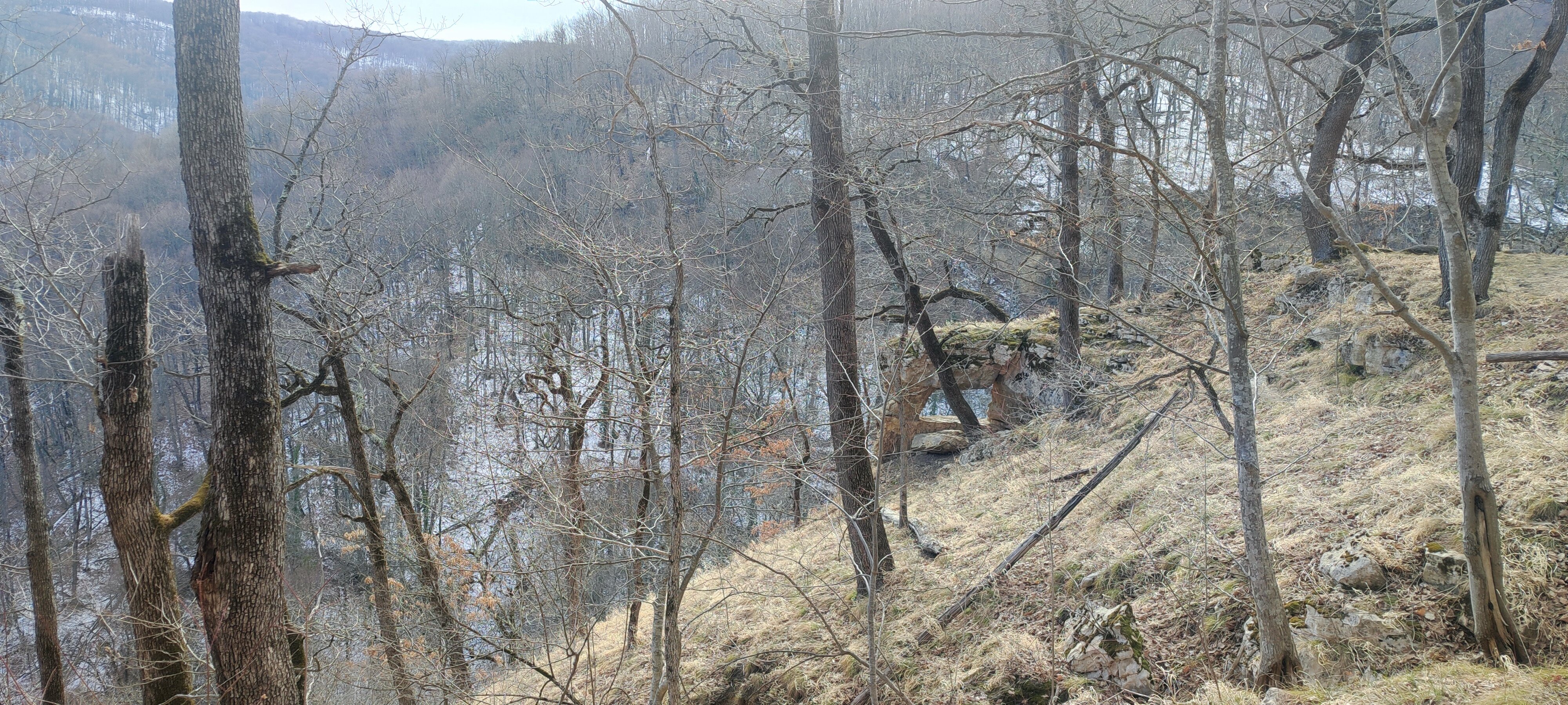 Фото Лес и Горы