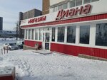 Diana (Gagarina Street, 71) ، محل بقالة
