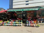 Cactus Cicekcilik (Ankara Province, Cankaya District, Cumhuriyet Mah., Selanik Cad., 18A), flower shop