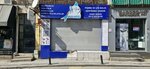 Balik Kafasi (İstanbul, Besiktas, Dikilitaş Mah., Emirhan Cad., 47C) ، مطعم