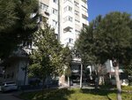 Roy's Motors (Istanbul, Pendik, Yeni Neighborhood, Abdulhalik Renda Avenue, 30) ، وكلاء سيارات