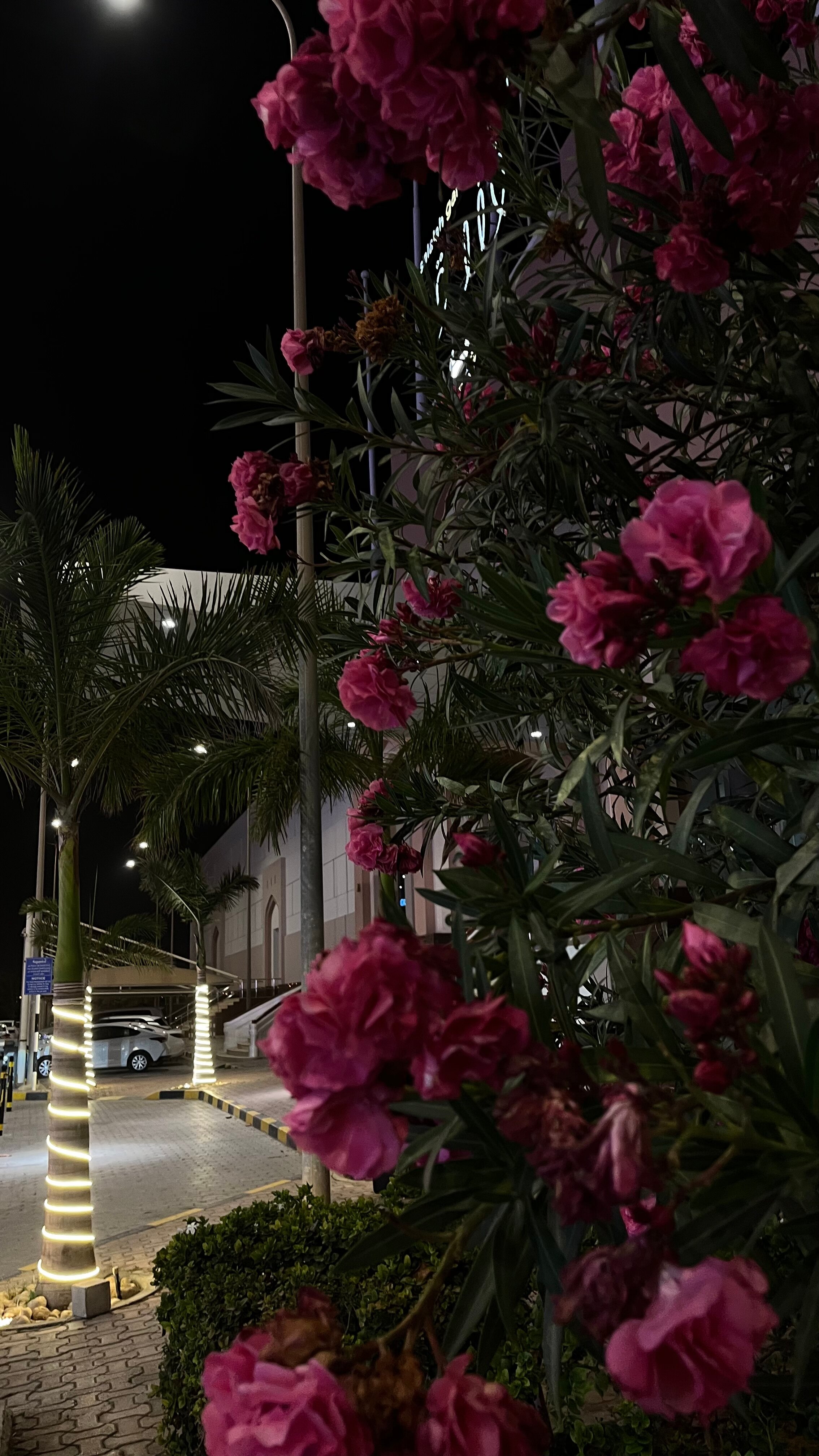 Фото Salalah Gardens Hotel