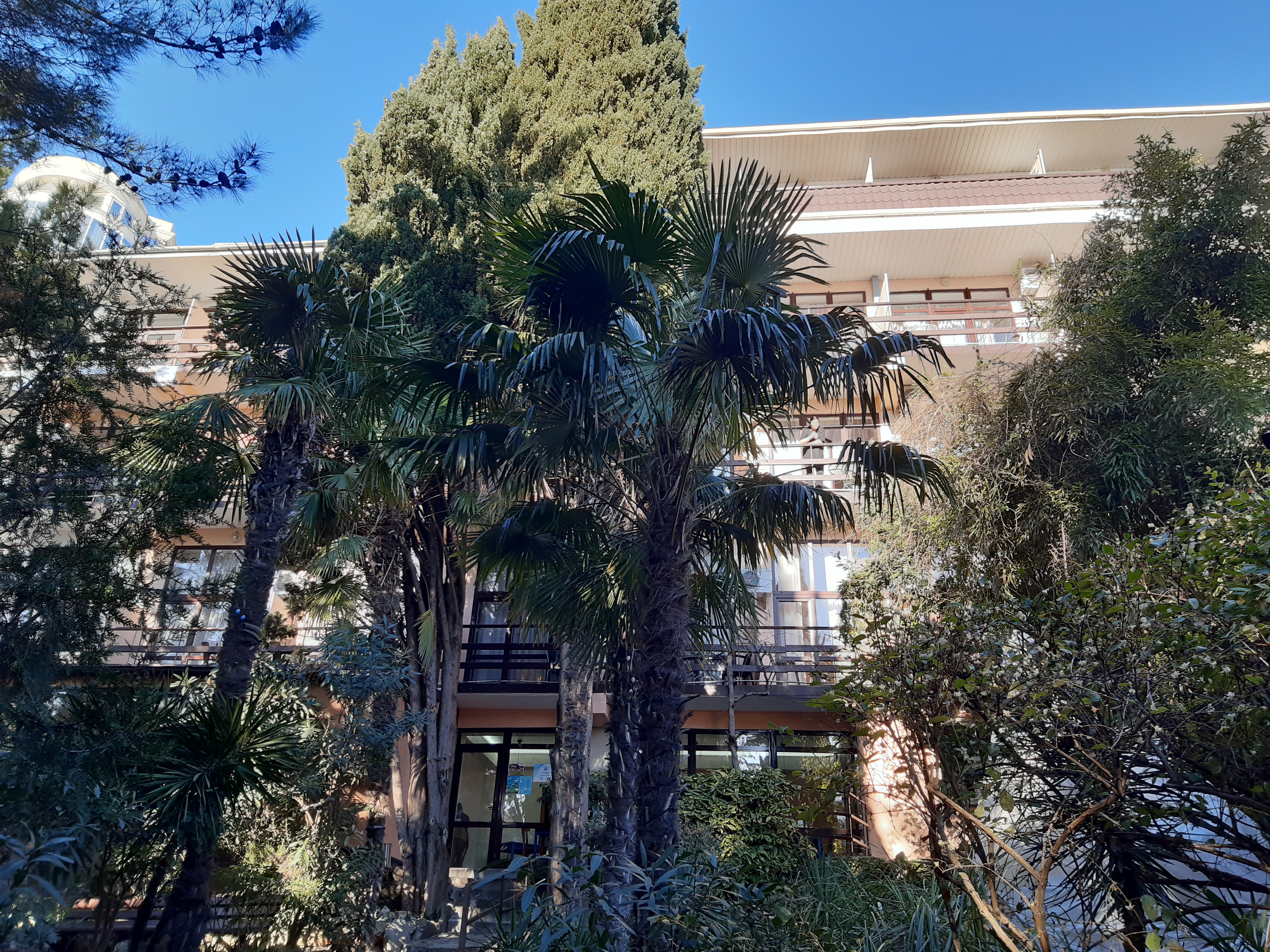 Фото Морской бриз