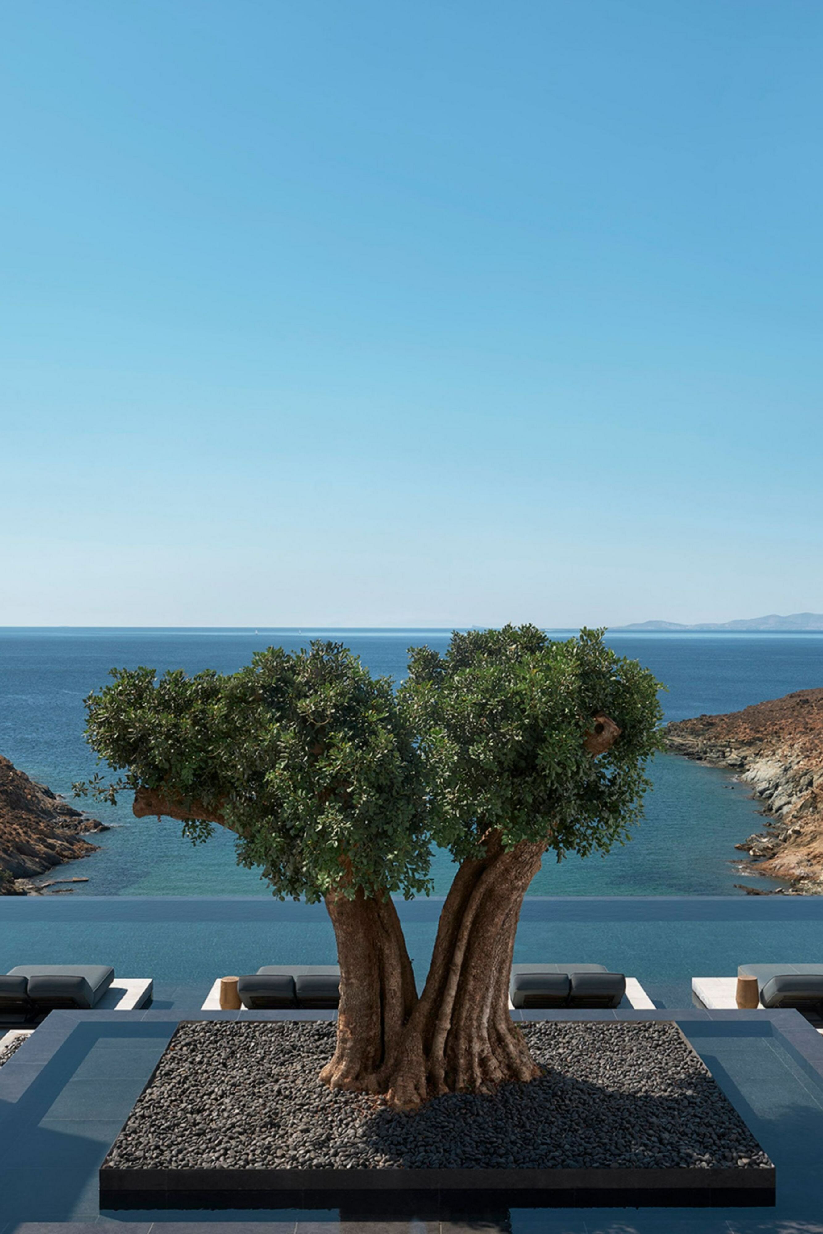 Фото Protea Hotel by Marriott