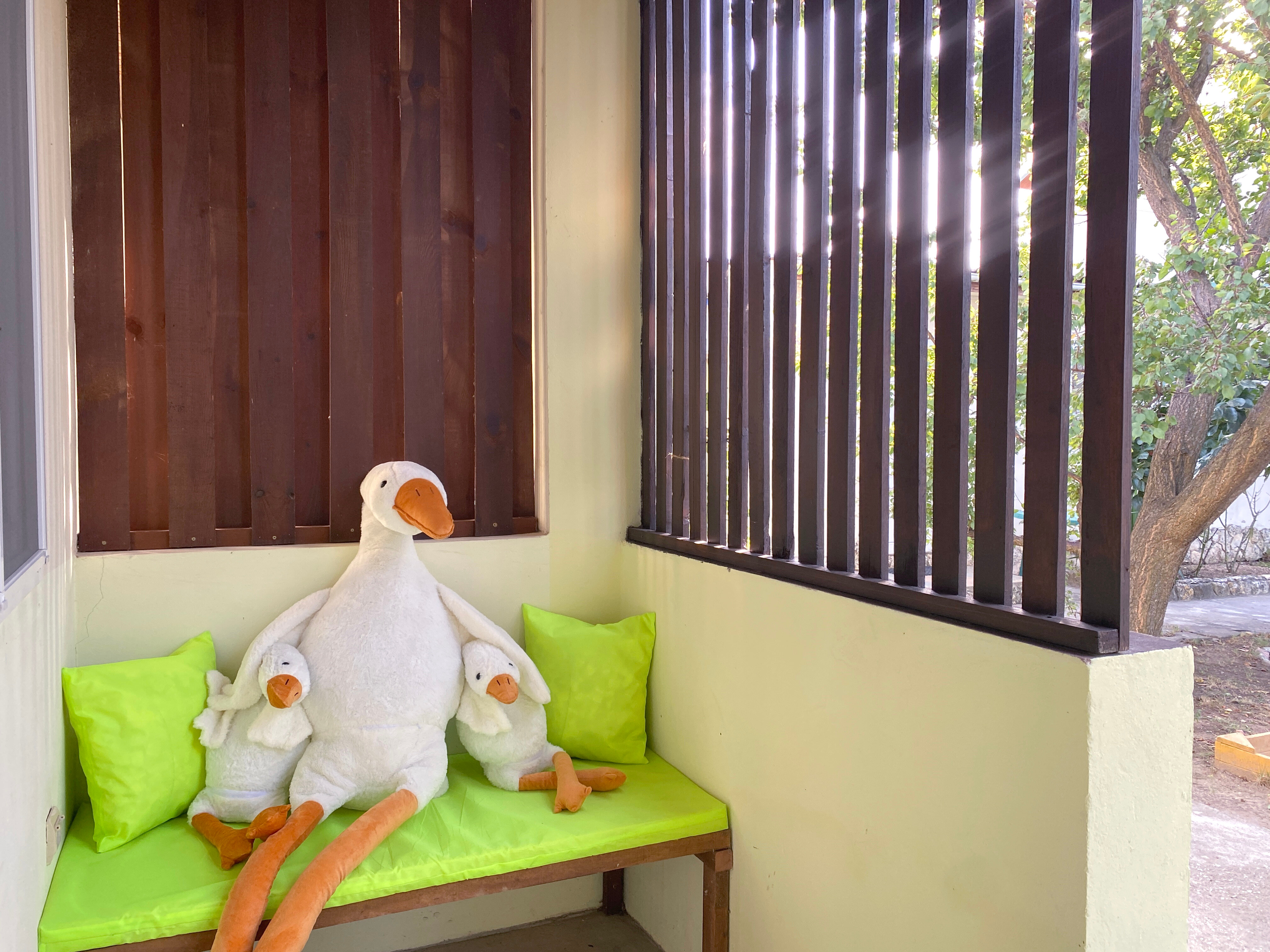 Фото АвокаДа