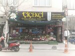 Flor Istanbul 2 (Istanbul, Bagcilar, Ataturk Avenue, 33B) ، محل زهور