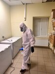 Алгоритм Чистоты (Bely Kuna Street, 34), disinfection, disinsection, deratization