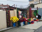 Цветы (Sochi, Urozhaynaya Street, 85А) ، النباتات والزهور الاصطناعية
