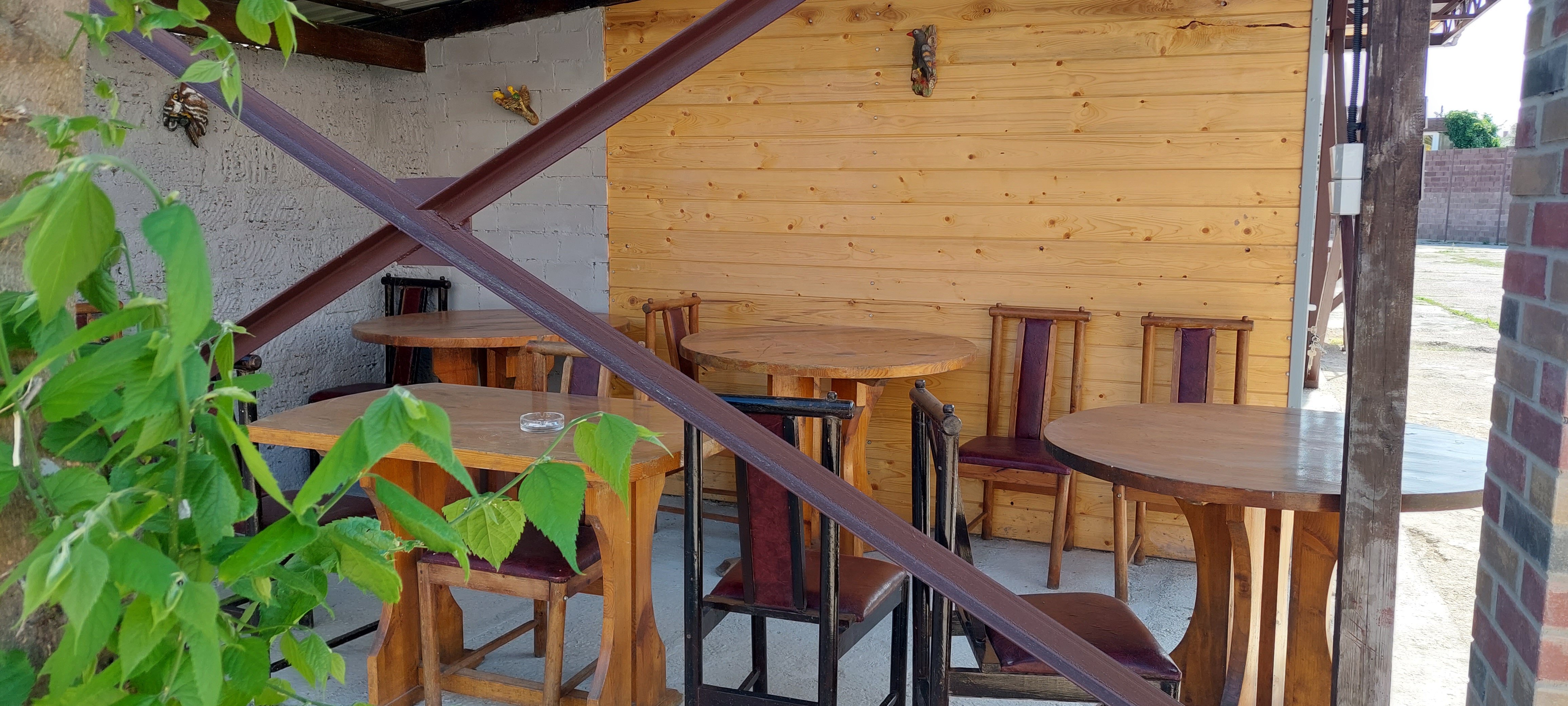 Фото Апартаменты Жасмин