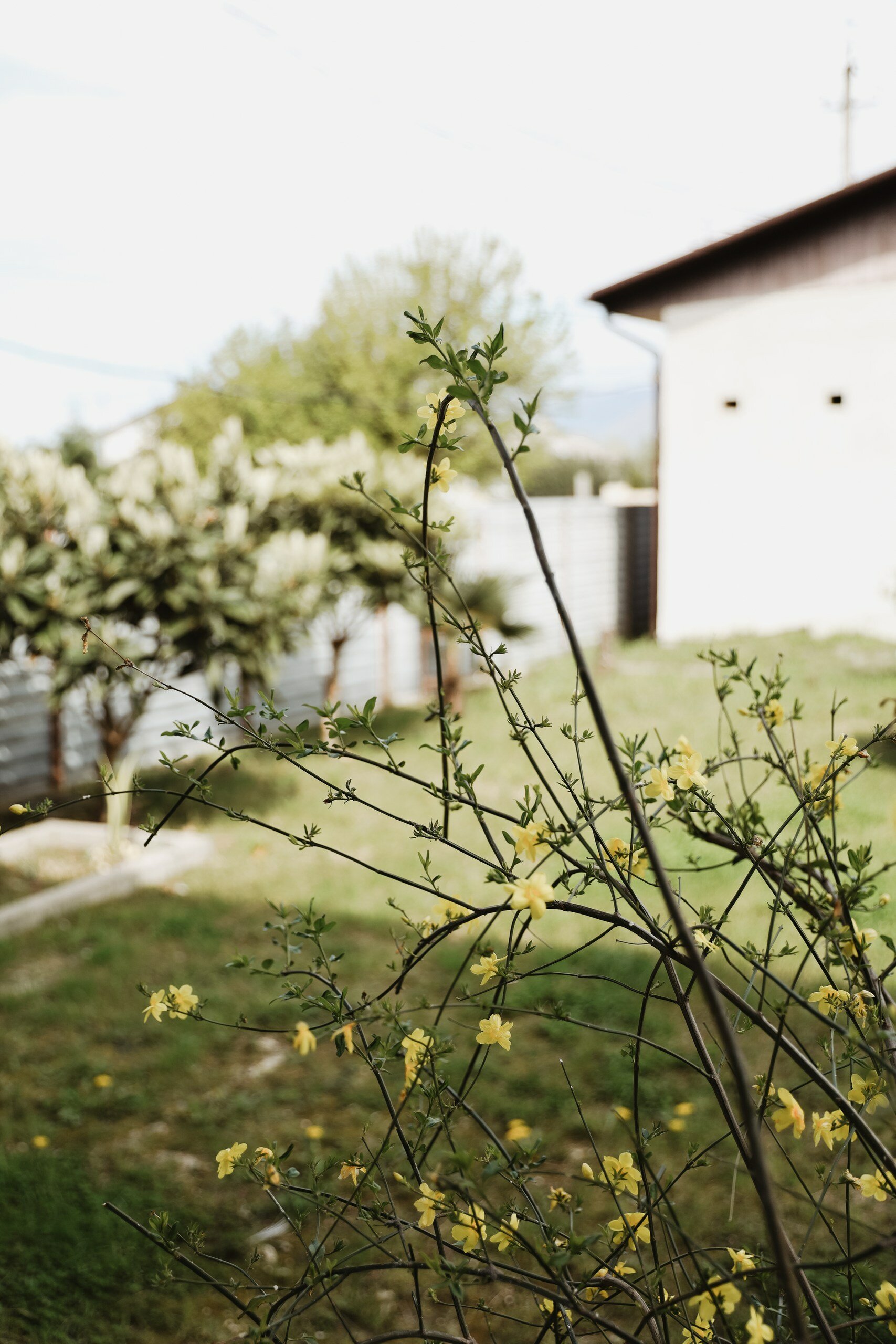 Фото Мини-отель Лея