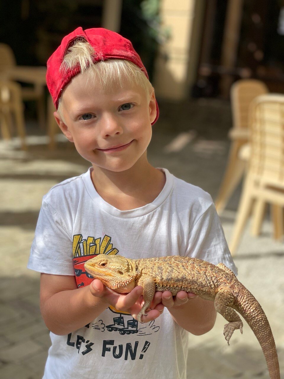 Фото Вилла Феллини