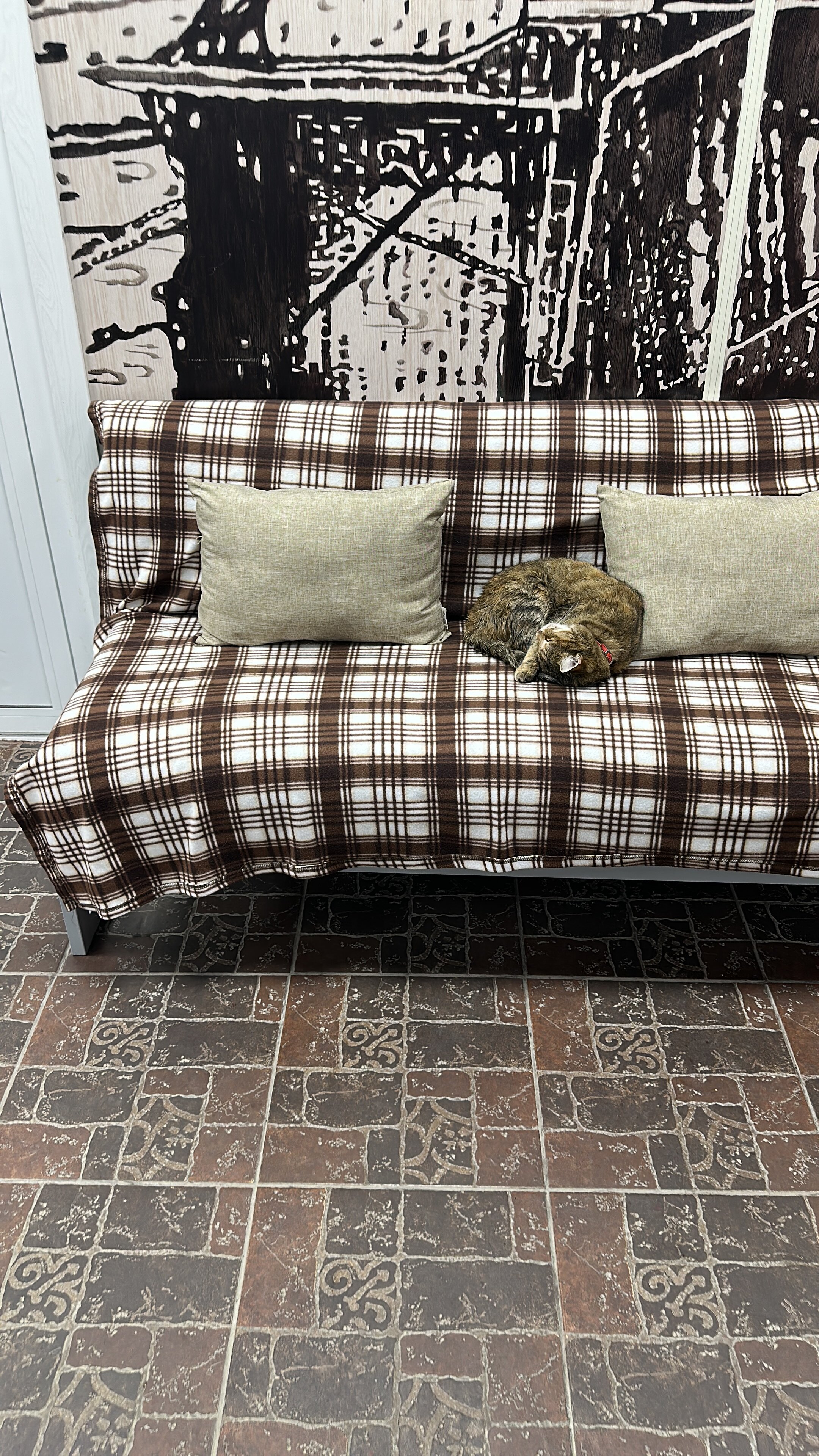 Фото Командор