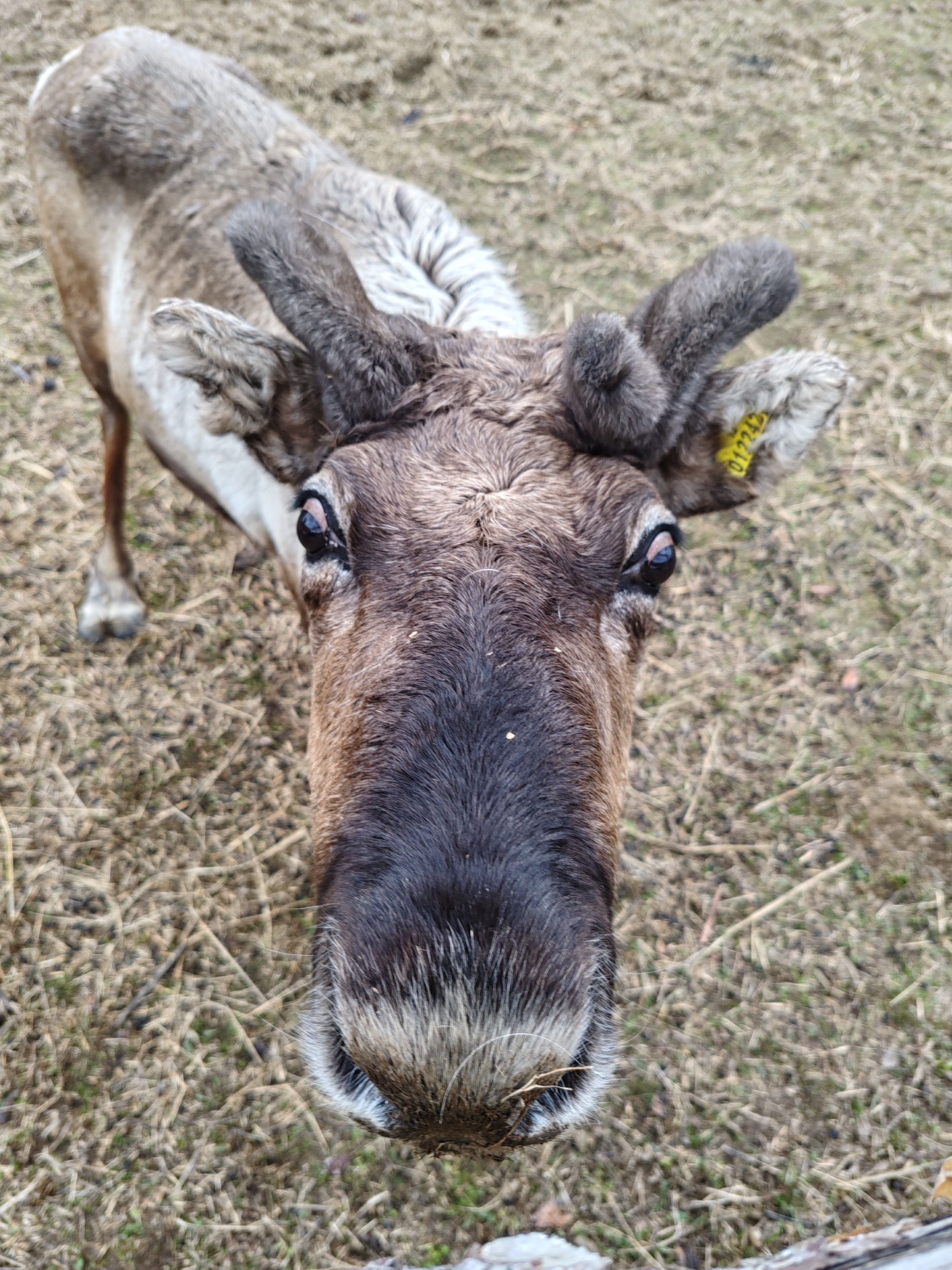 Фото Тайны Юронги