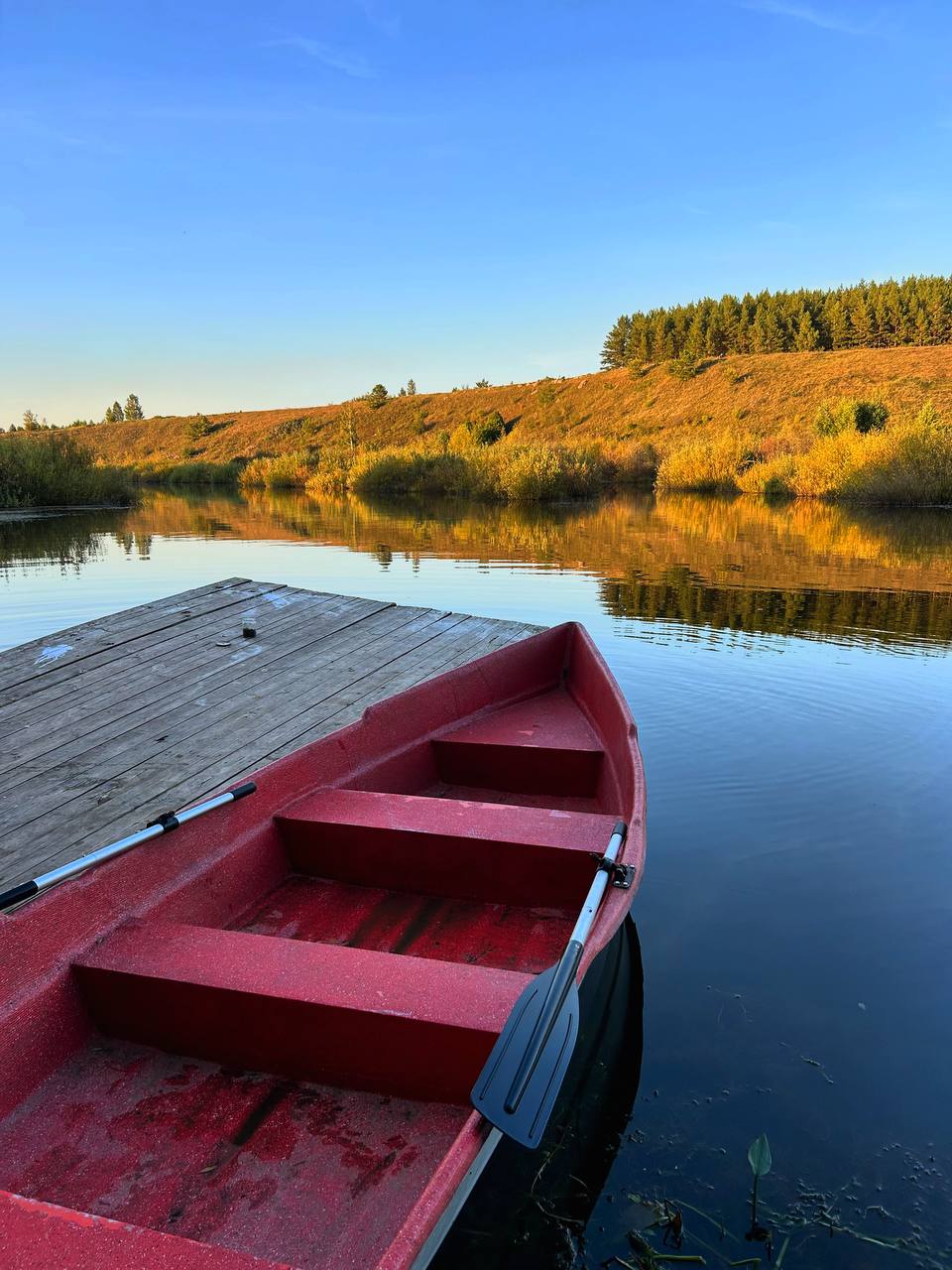 Фото Поместье Конная эстетика