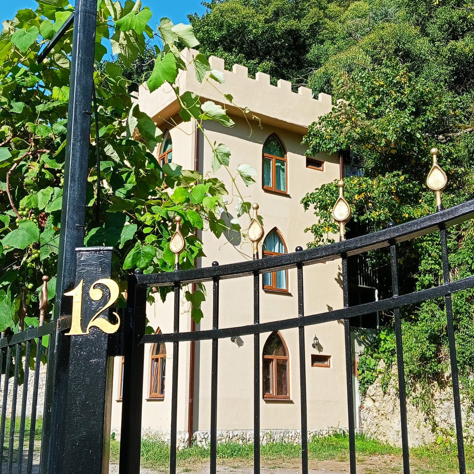 Фото Гостевой дом Старая Гагра